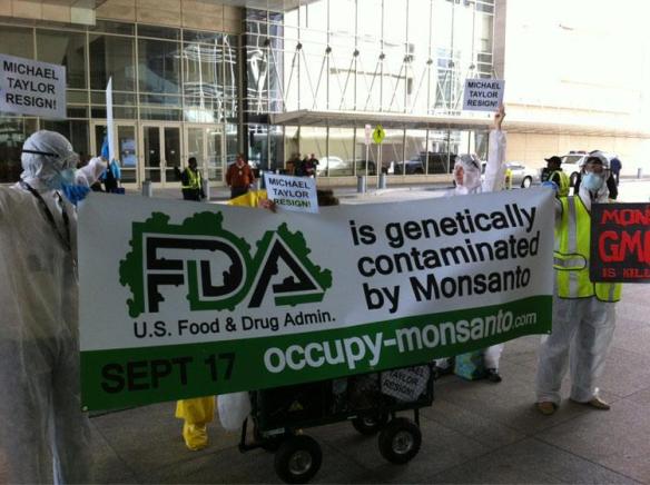 FDA genetically contaminated Monsanto GMO