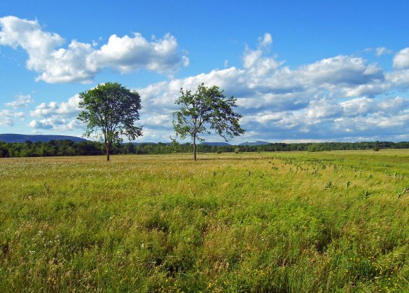 Grasslands_Shawangunk_NWR