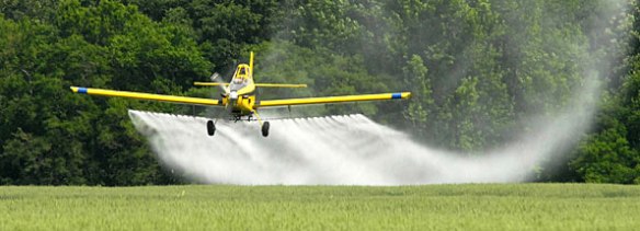 spray pesticides wheat